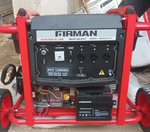 Pure Copper Coil Firman 12990 Petrol Generator