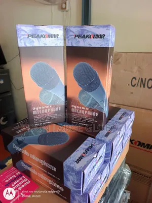 Peakomar Dynamic Wirred Mic