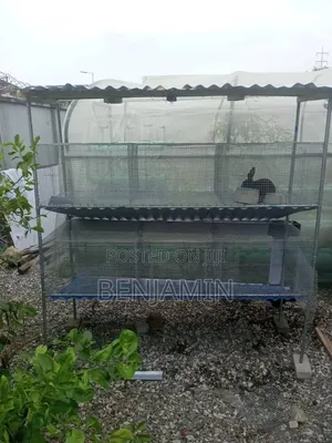 Standard 9 to 10 Rooms Rabbit Cage