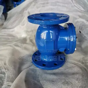 Sluice Gate Valve and Swing Check Valve