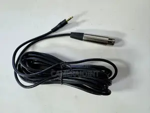 Panasonic Super Uni Directional Electronic Condenser Microphone