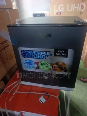 Royal Bedside Refrigerator 55 Litres
