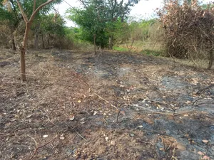 Virgin 2 Plots of Land for Sale