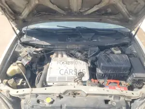 Lexus RX 1999 Gray