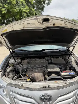 Toyota Camry LE 4dr Sedan (2.5L 4cyl 6AM) 2010 Silver