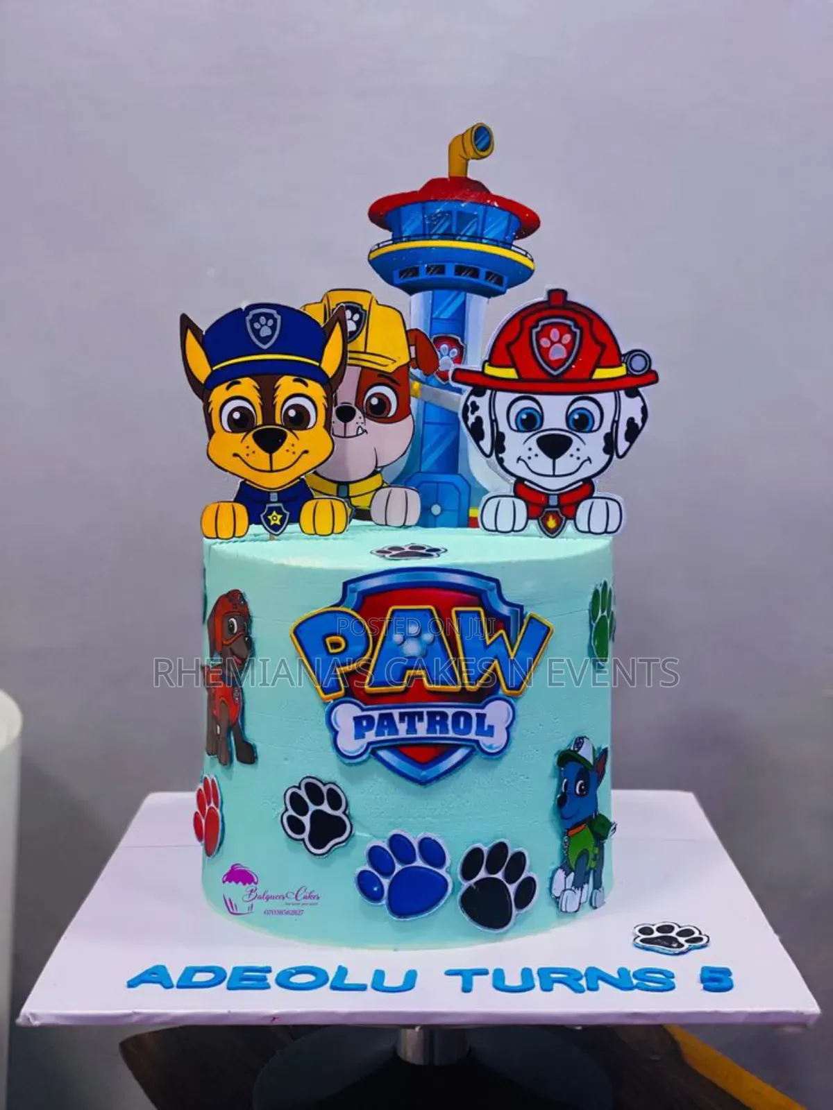 Kiddies Birthday Cake And Children Character Cake