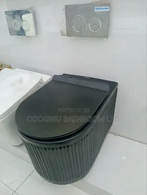 This Luxury Conceal Wc Set