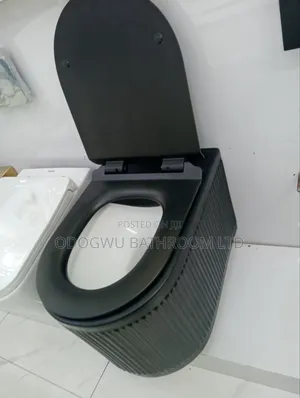This Luxury Conceal Wc Set