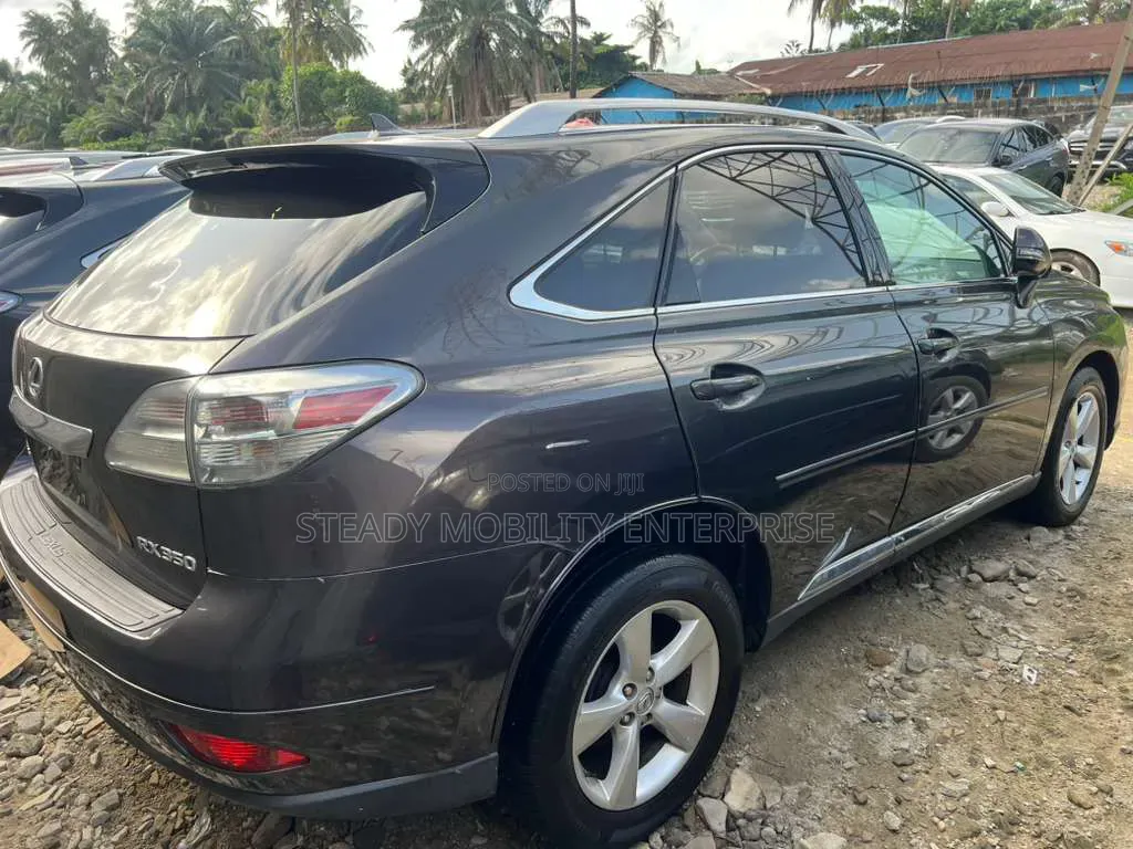 Lexus RX 350 2010 Gray
