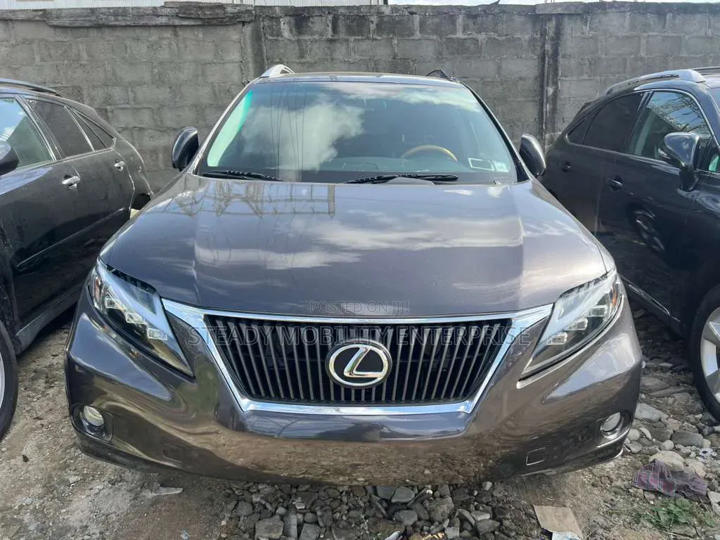 Lexus RX 350 2010 Gray
