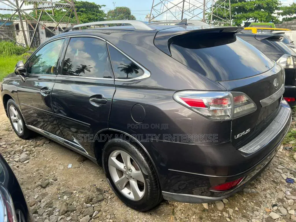 Lexus RX 350 2010 Gray