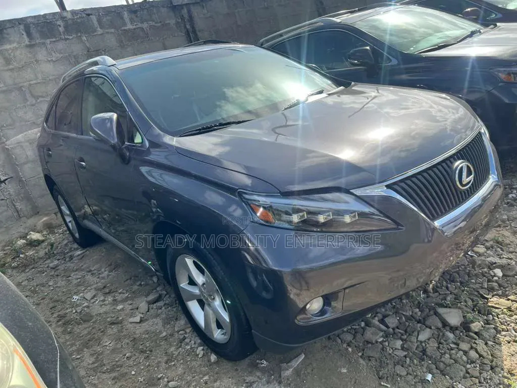 Lexus RX 350 2010 Gray