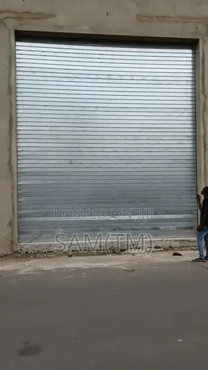 Strong Roller Shutter Door
