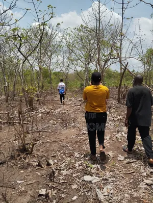 100 Acres of Farmland Available at Sirafu Village, Iseyin, Oyo State