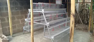 Layers Battery Cage (96birds Capacity 3tiers)