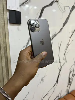 Apple iPhone 13 Pro Max 256 GB Black