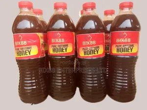 Bix88 Pure Natural Honey