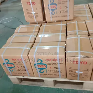 Toyo Chain Block 1 Ton