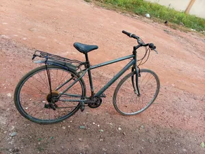Sport Bicycle