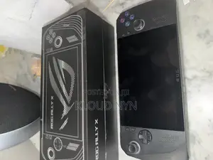 Rog Ally X