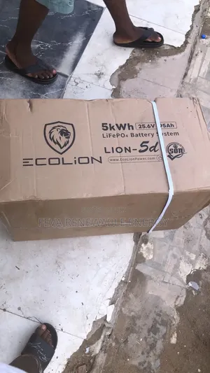 Ecolion 5kwh 24v Lithium Battery