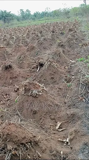 Farm Land for Sale