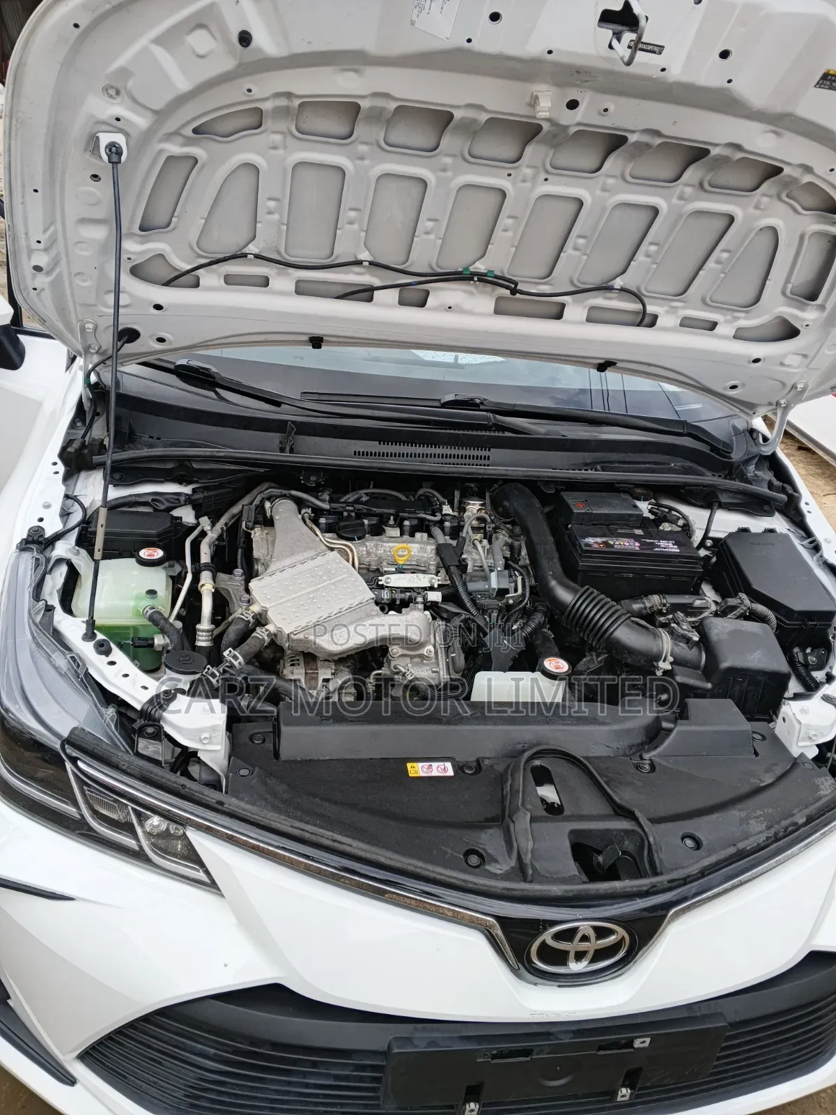 Toyota Corolla SE 2023 White