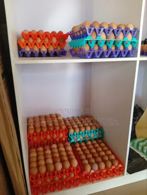 Crates of Poultry Eggs