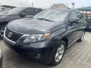 Lexus RX 2010 Gray