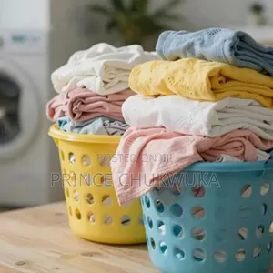 Laundry Operation And Dispatch Assistant