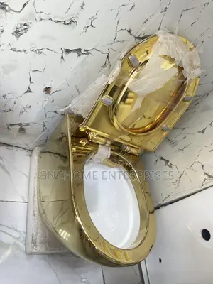 Gold Wall Mounted Wc