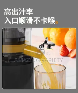Slow Juicer Fruit Juice Separation