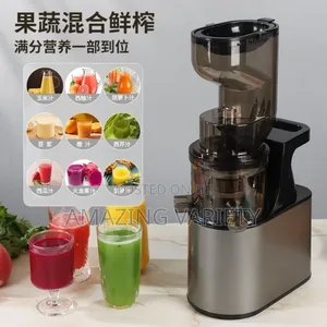 Slow Juicer Fruit Juice Separation