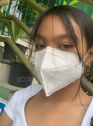 Dust Mask Kn95 / Bqn