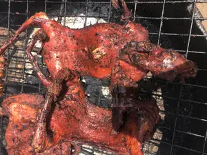 Rabbit Bush Meat