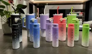 3 in 1 Water Bottle