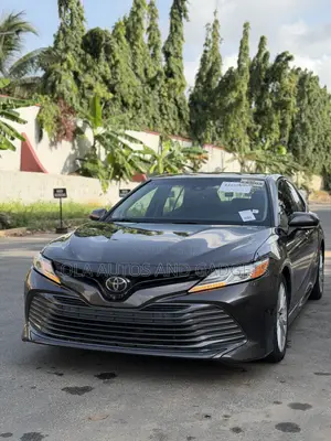 Toyota Camry XLE FWD (2.5L 4cyl 8AM) 2018 Brown