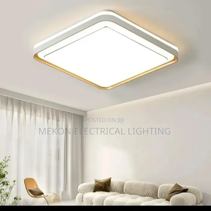 Led Flush Ceiling Light