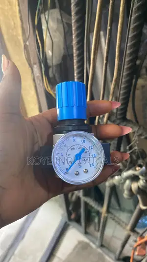 Pneumatic Air Pressure Regulator With Pressure Gauge