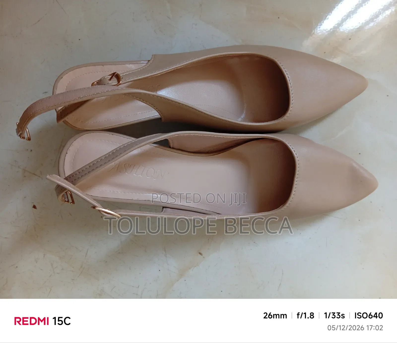 Pointed-Toe Shoe