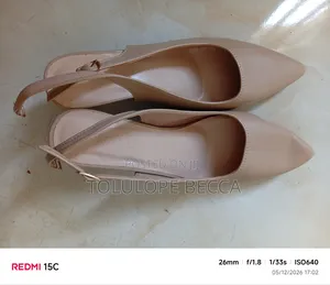 Pointed-Toe Shoe