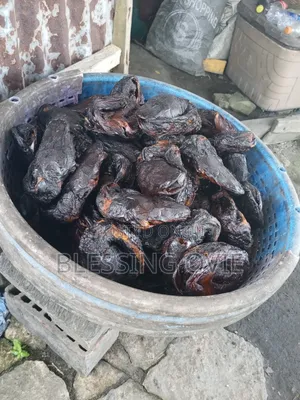 Process Dry Catfish