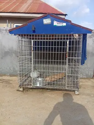 Dog and Cat House