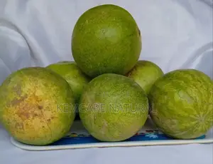 Bitter Melon Guard Available in Stock at Kemcare Natural