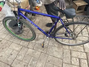 Neat Used Pegasus Bike Bicycle