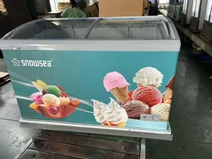 Snowsea Ice-Cream Showcase Freezer
