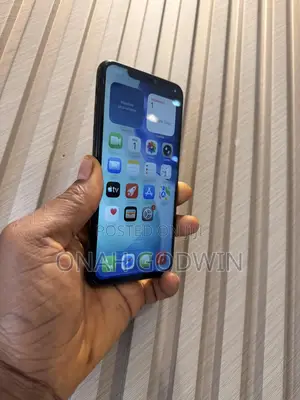 Apple iPhone 11 Pro Max 64 GB Gray