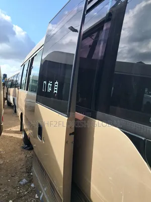 Toyota Coaster 2017 Brown