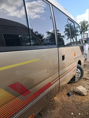 Toyota Coaster 2017 Brown