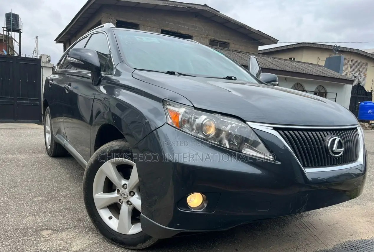 Lexus RX 2010 Gray